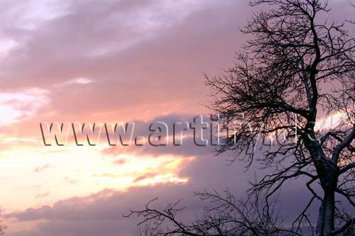 Wintermorgen
