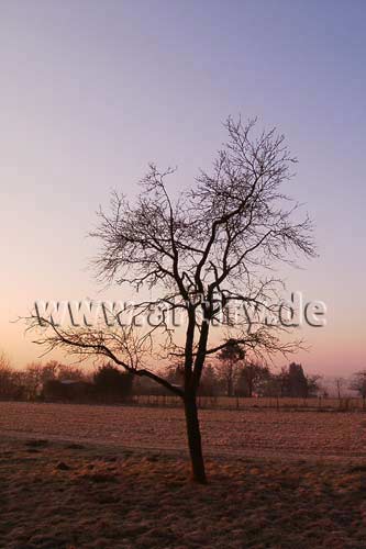 Morgens im Februar