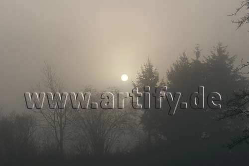 Herbstmorgen