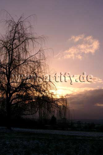 Dezembermorgen