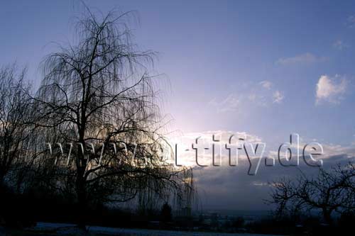 Winterlicht