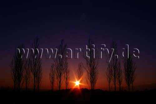Sonnenuntergang im Scharnhauser Park