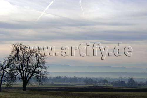 Albblick mit Nebel