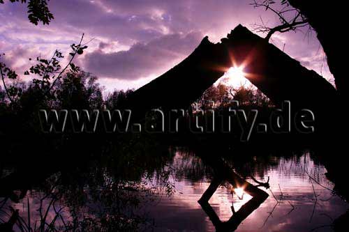 Am See in Violett