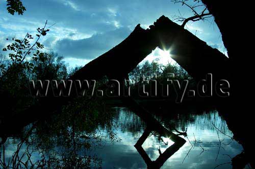 Am See in Blau