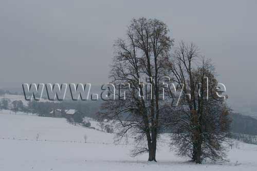 Schneelandschaft