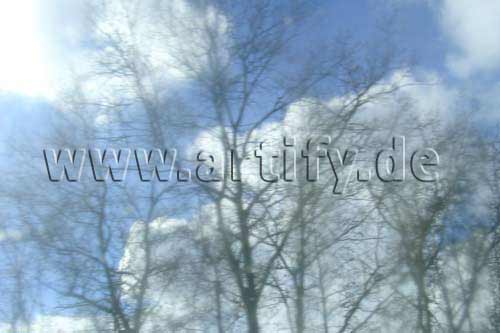 Geisterwald