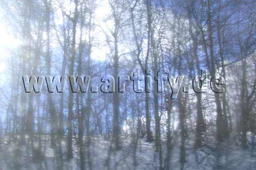 Geisterwald