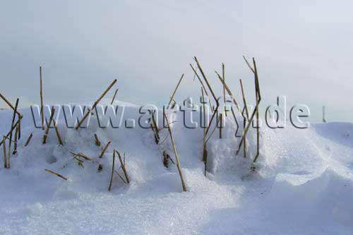 Stoppelschnee