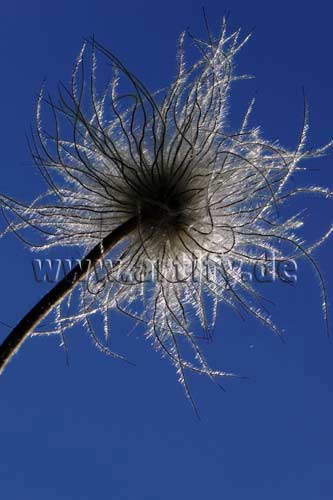 Sommerzeit