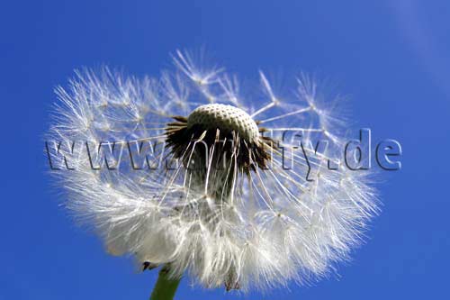 Bereit zum Abflug