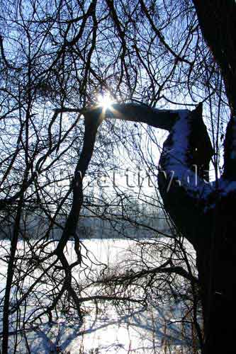 Wintersonne