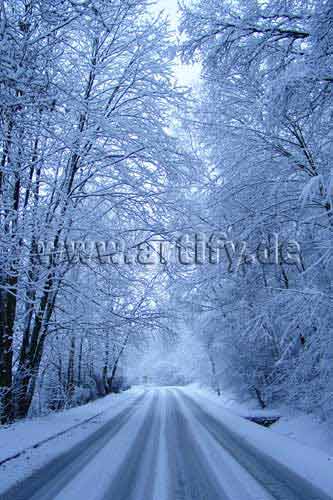 Winterwelt