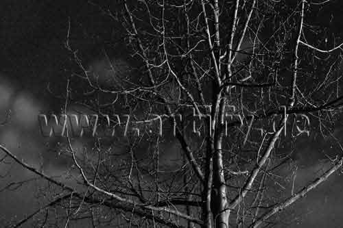 Aprilnacht