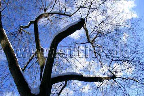 Januar
