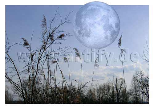 Luna I