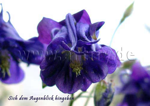 Augenblick
