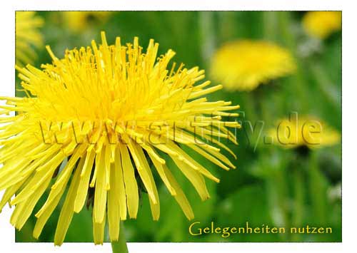 Gelegenheiten