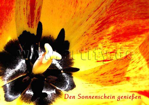Sonnenschein