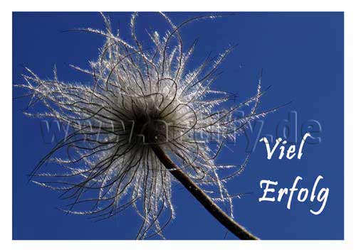 Viel Erfolg
