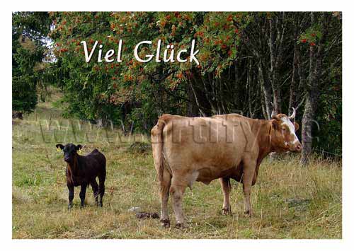Viel Glück