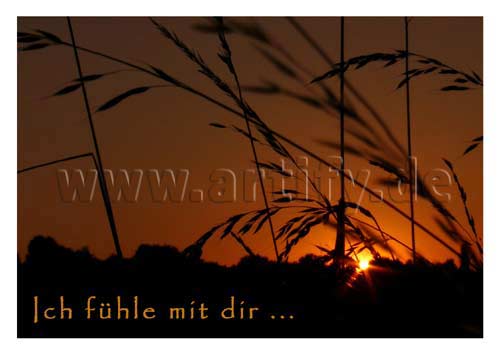 Ich fühle mit dir ...