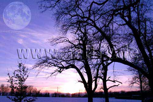Winterland