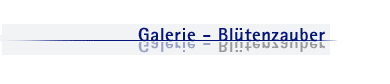 Galerie - Blütenzauber