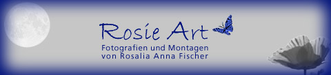 Zur Galerie von  Rosalia Anna Fischer